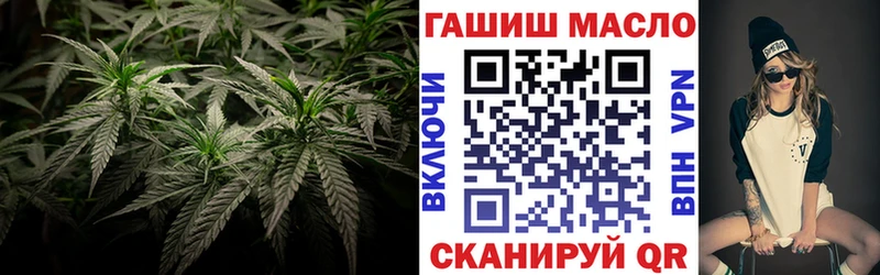 как найти закладки  Бор  ТГК концентрат 
