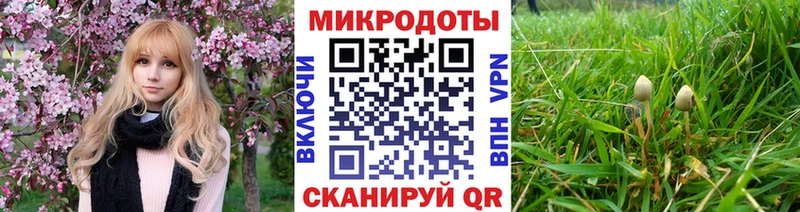 продажа наркотиков  маркетплейс клад  Галлюциногенные грибы GOLDEN TEACHER  Бор 